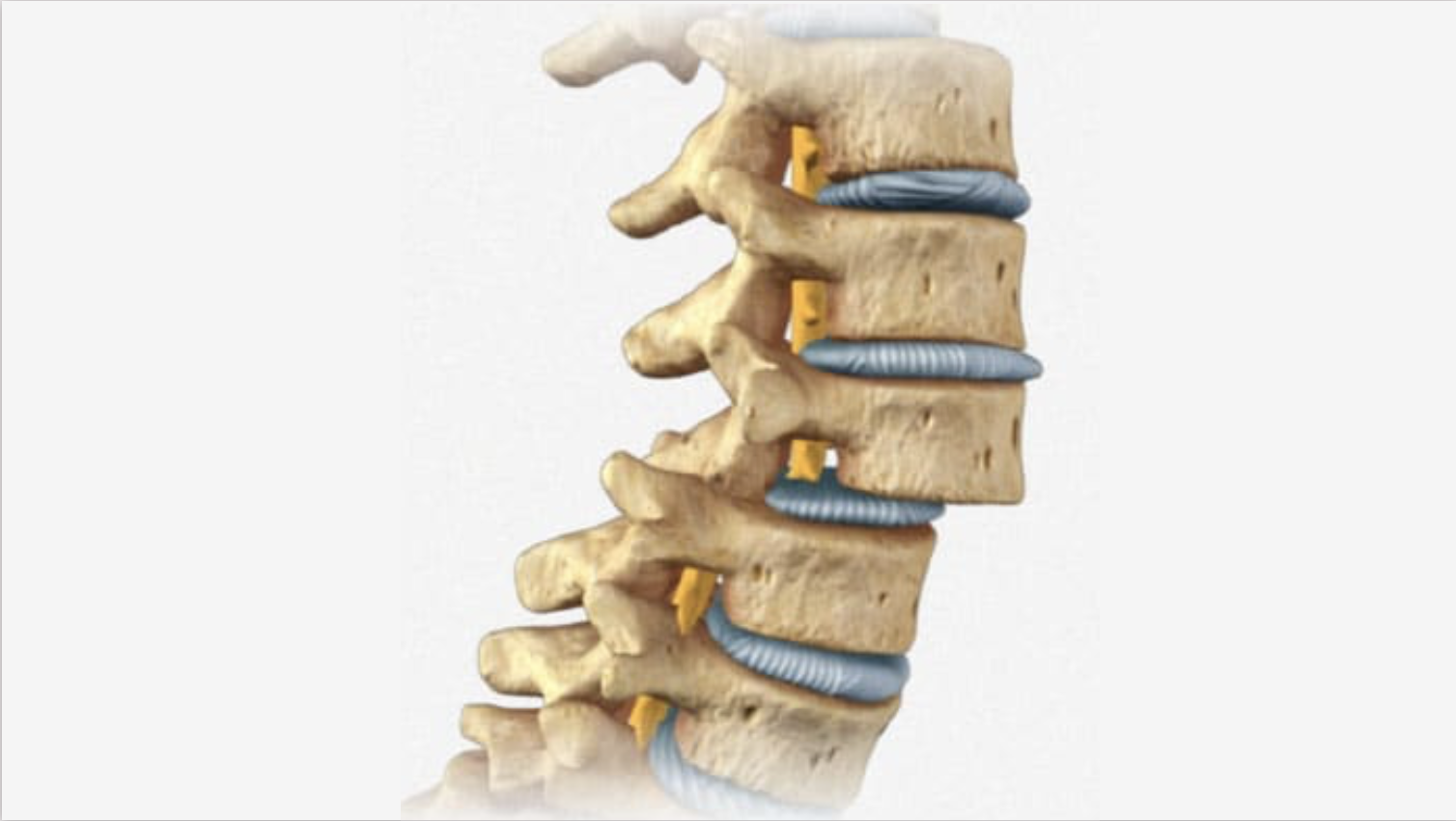 Listesis vertebral
