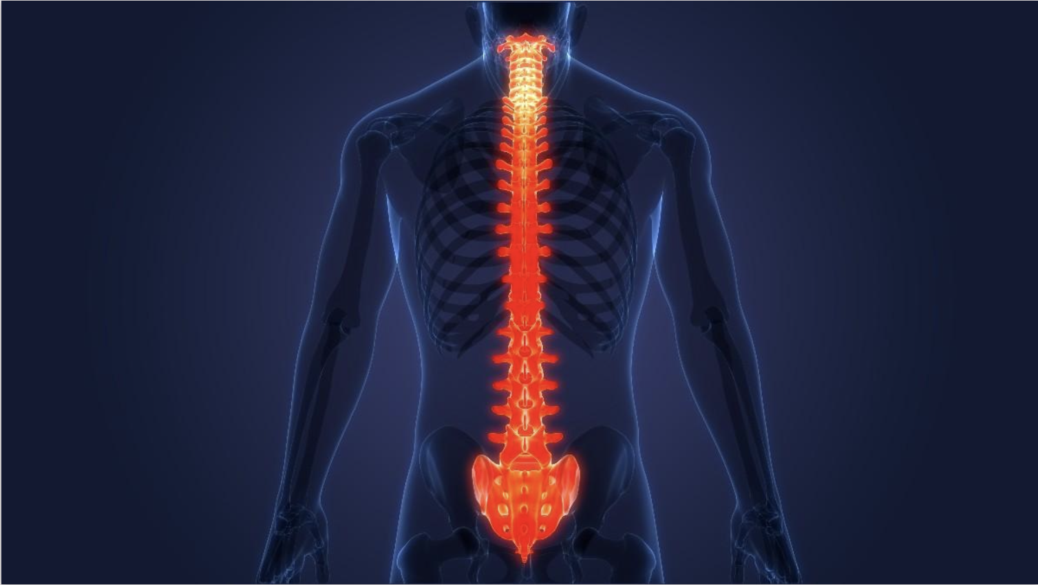 Infecciones vertebrales