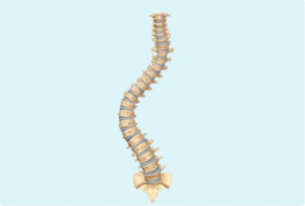 Escoliosis degenerativa